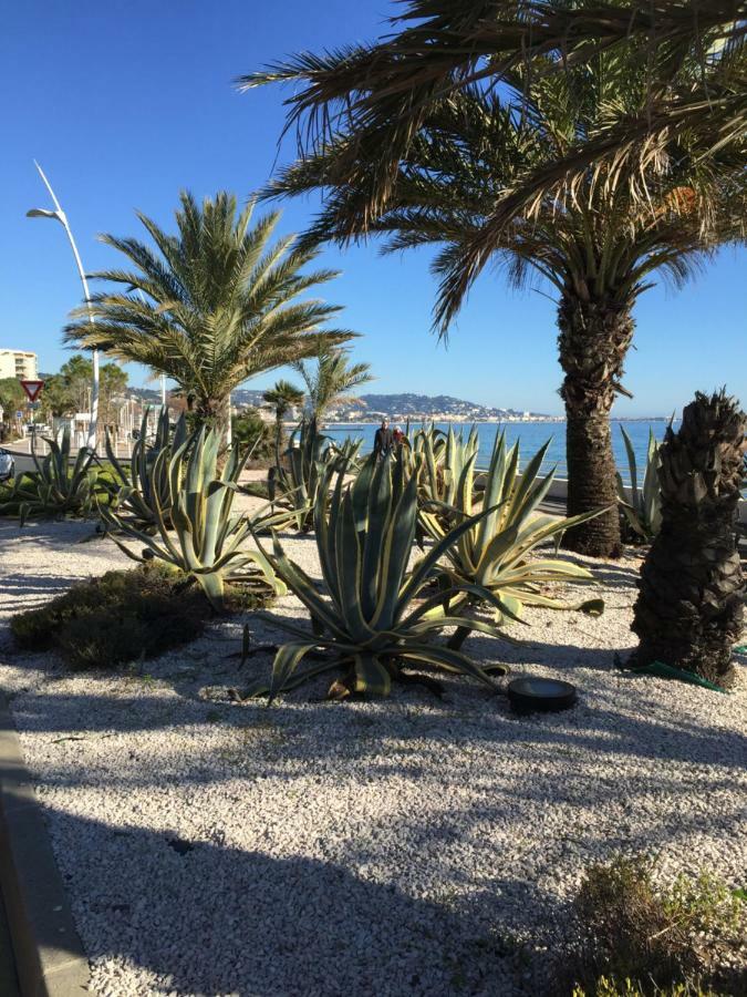 Appartement Belle Azur Cannes Buitenkant foto
